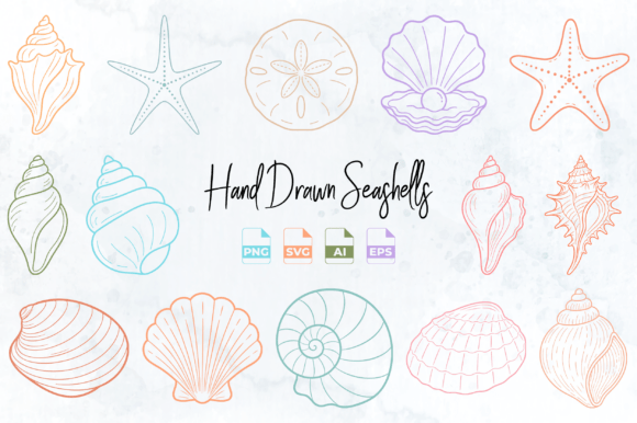 Hand Drawn Seashell Clipart PNG SVG