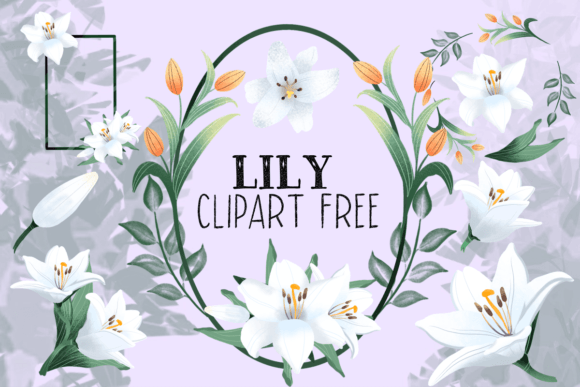 Lily Clipart Free: Premium Graphics for Local Business Freebies
