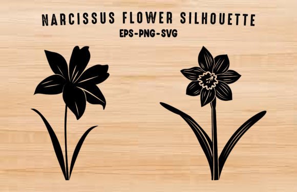 Narcissus Flower SVG Clipart Silhouettes: Graphics & Illustrations