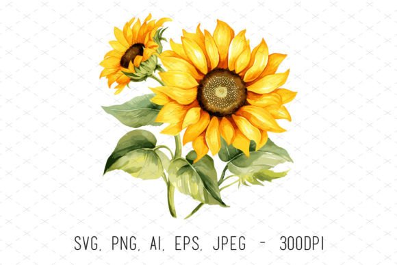 Watercolor Sunflower Sublimation Clipart: Graphics & Illustrations