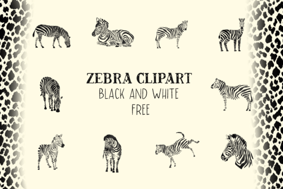 Zebra Clipart Black and White Free: Graphics for Local Business Freebies
